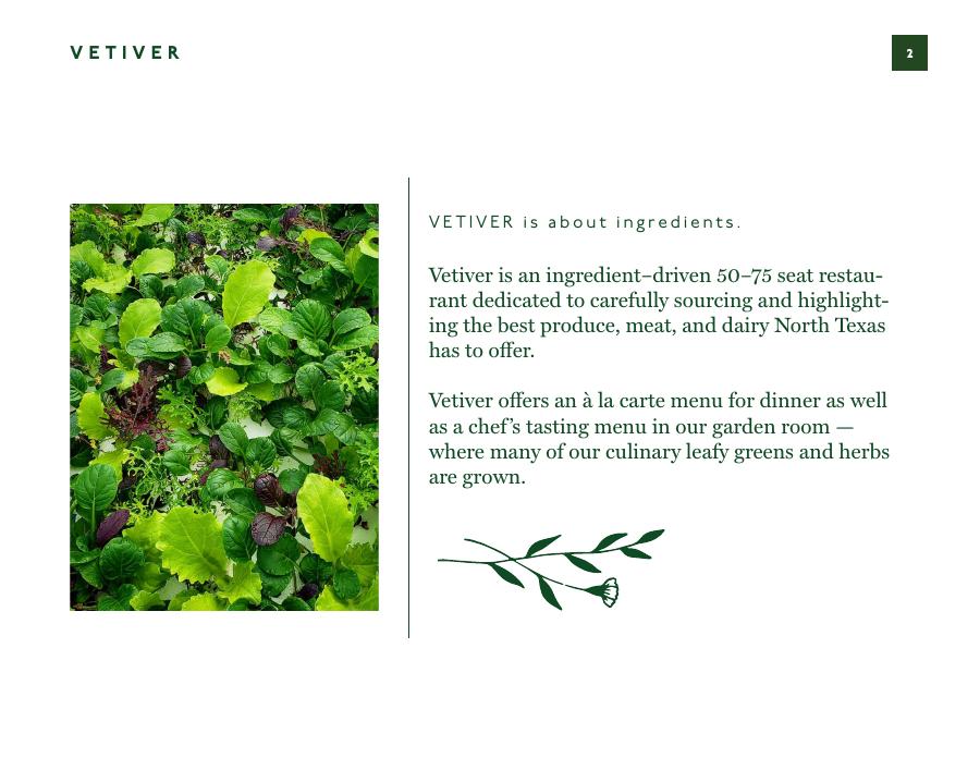 Vetiver Sundance Square proposal · concept page.