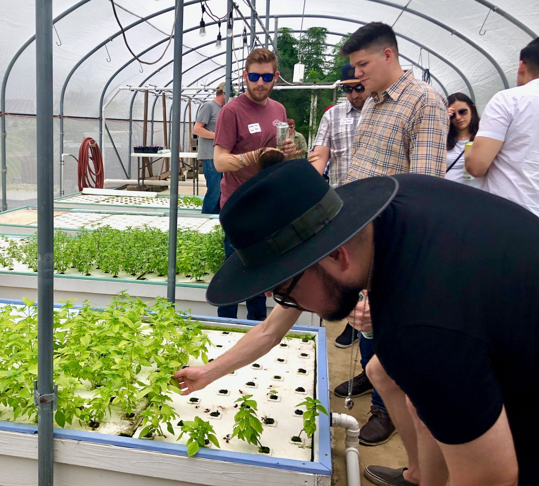 Greenhouse activity. From Community Beer Company’s June 4, 2019 album. Individual photographer unidentified.