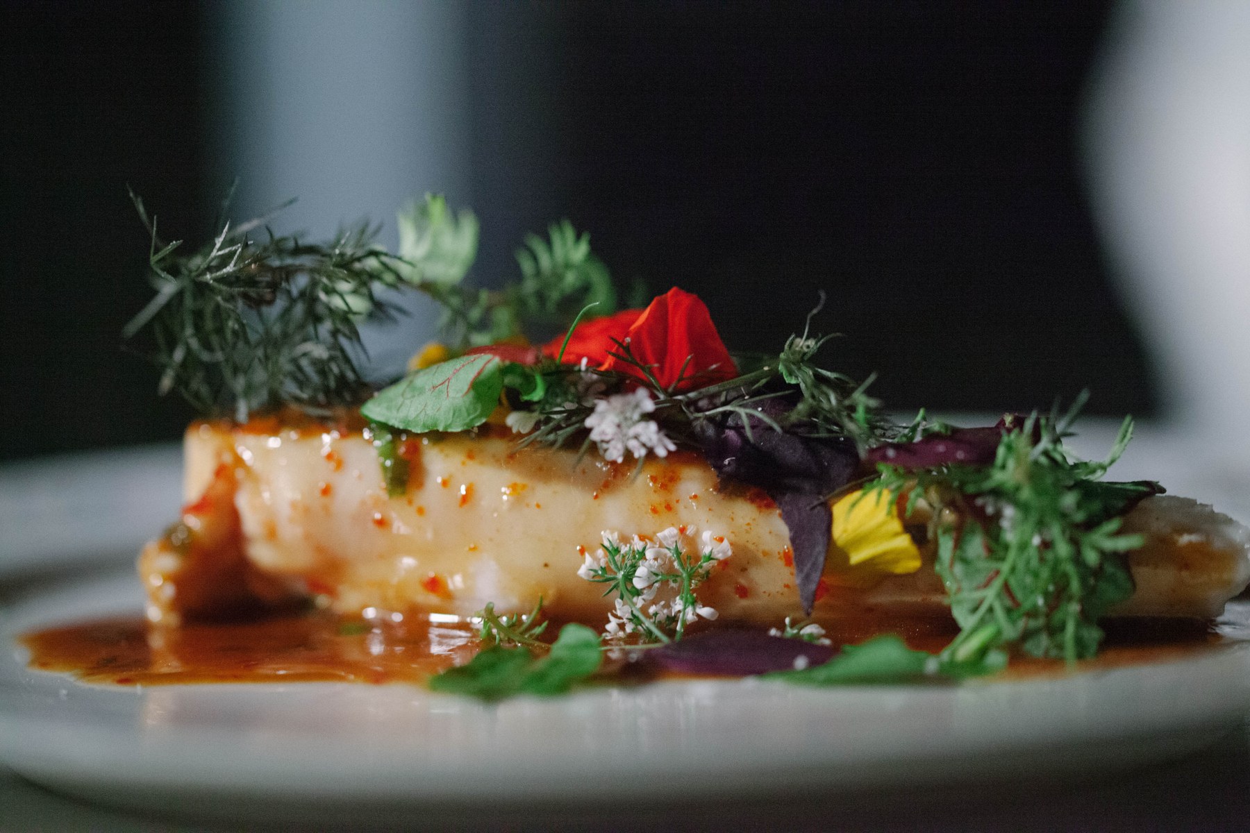 A plated course. Food by Josh Sutcliff.