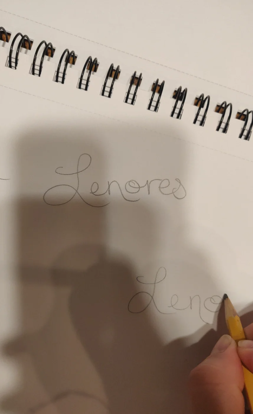 The first pencil studies.