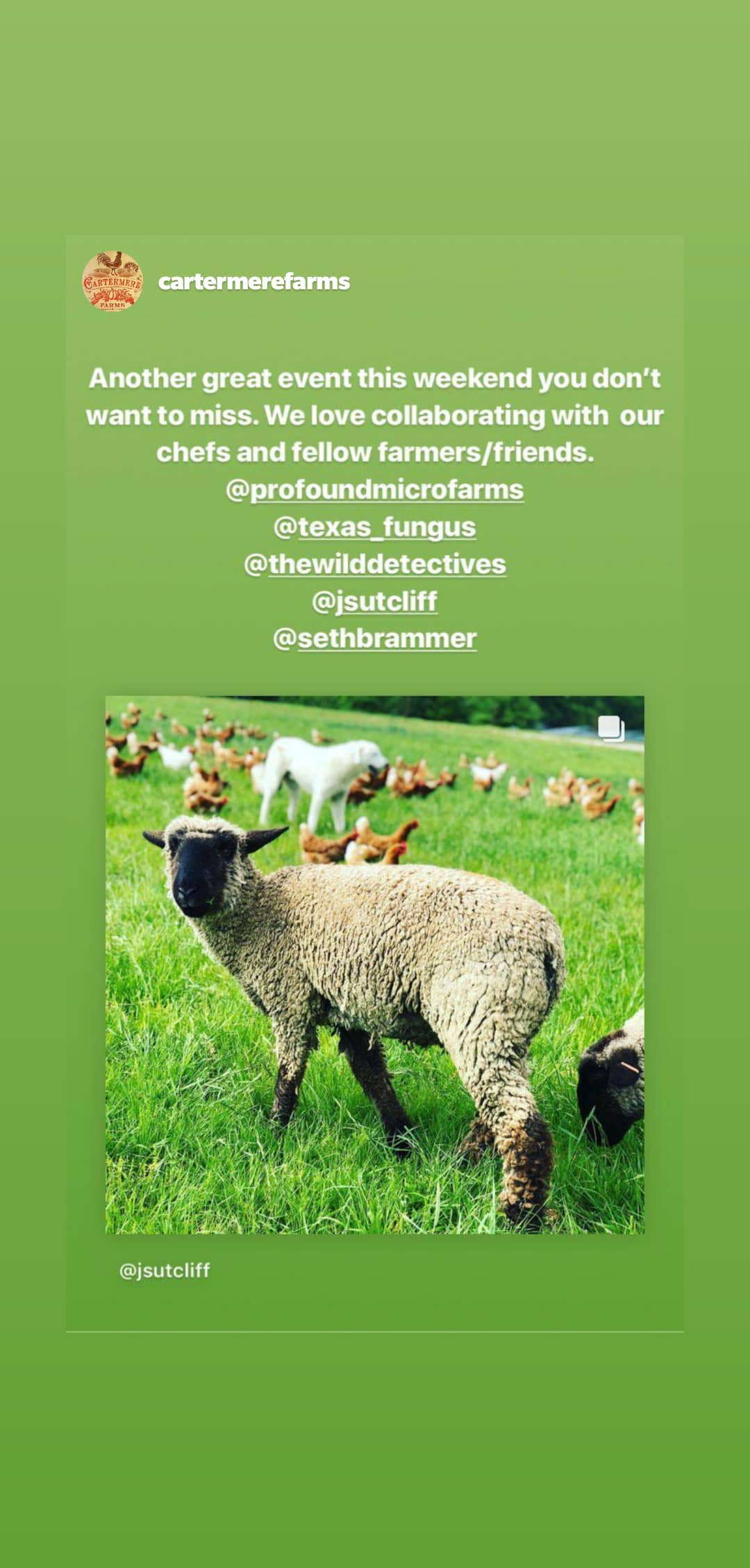 April 24, 2019. Shared story from @cartermerefarms.