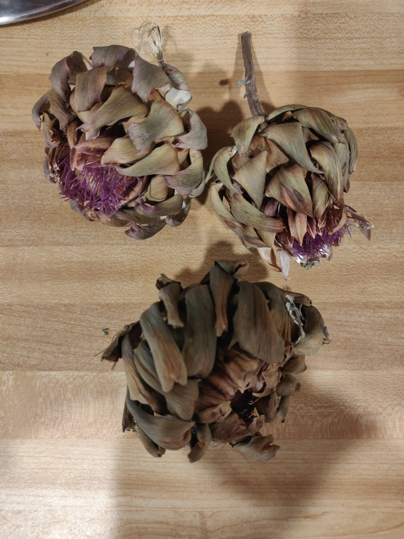 Dried botanical bundles on a table.