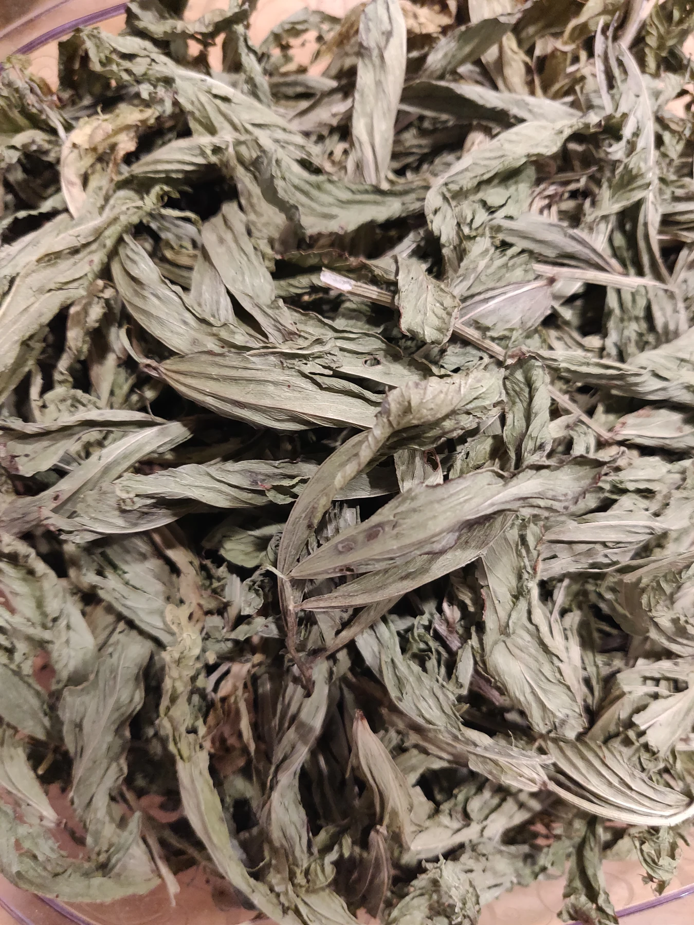 A close view of dried leaves.