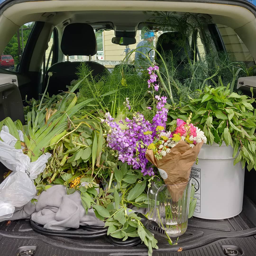 Flowers for Vetiver from Bishop Hill Farm Flowers.